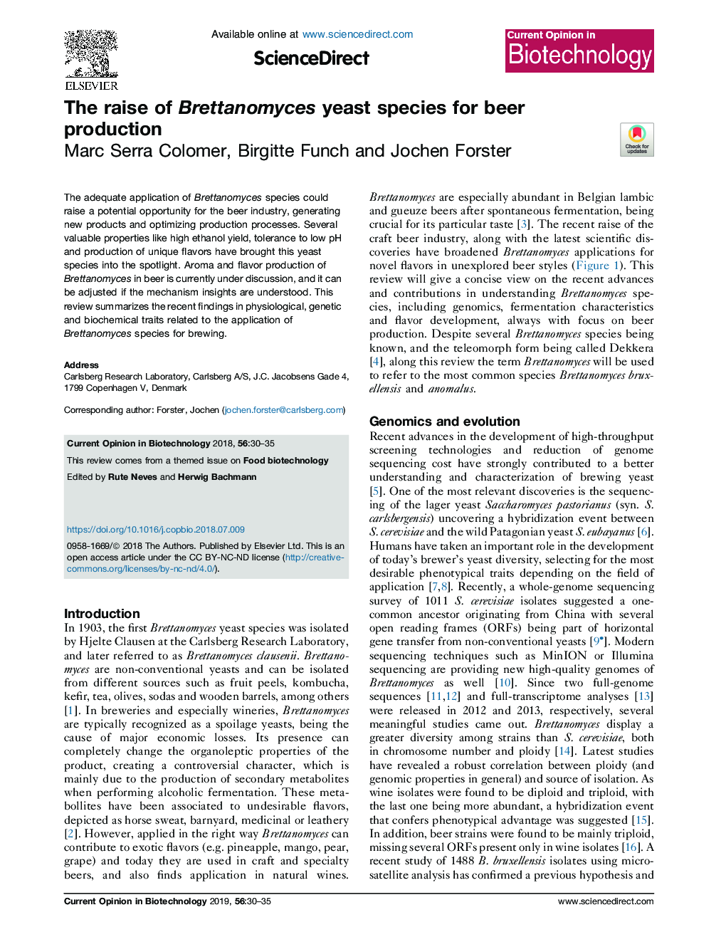 The raise of Brettanomyces yeast species for beer production