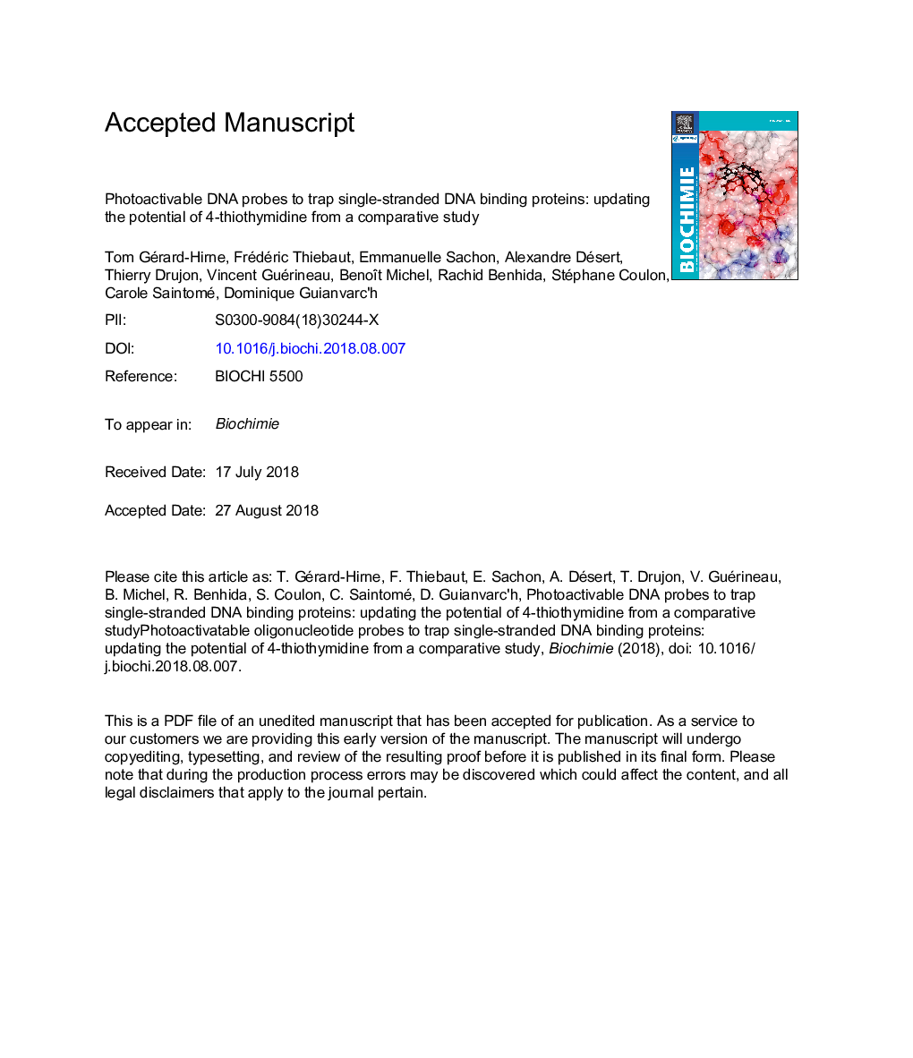 Photoactivatable oligonucleotide probes to trap single-stranded DNA binding proteins: Updating the potential of 4-thiothymidine from a comparative study