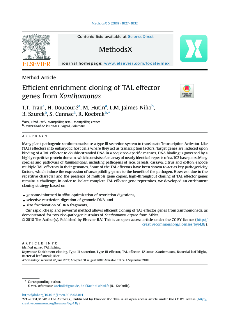 Efficient enrichment cloning of TAL effector genes from Xanthomonas