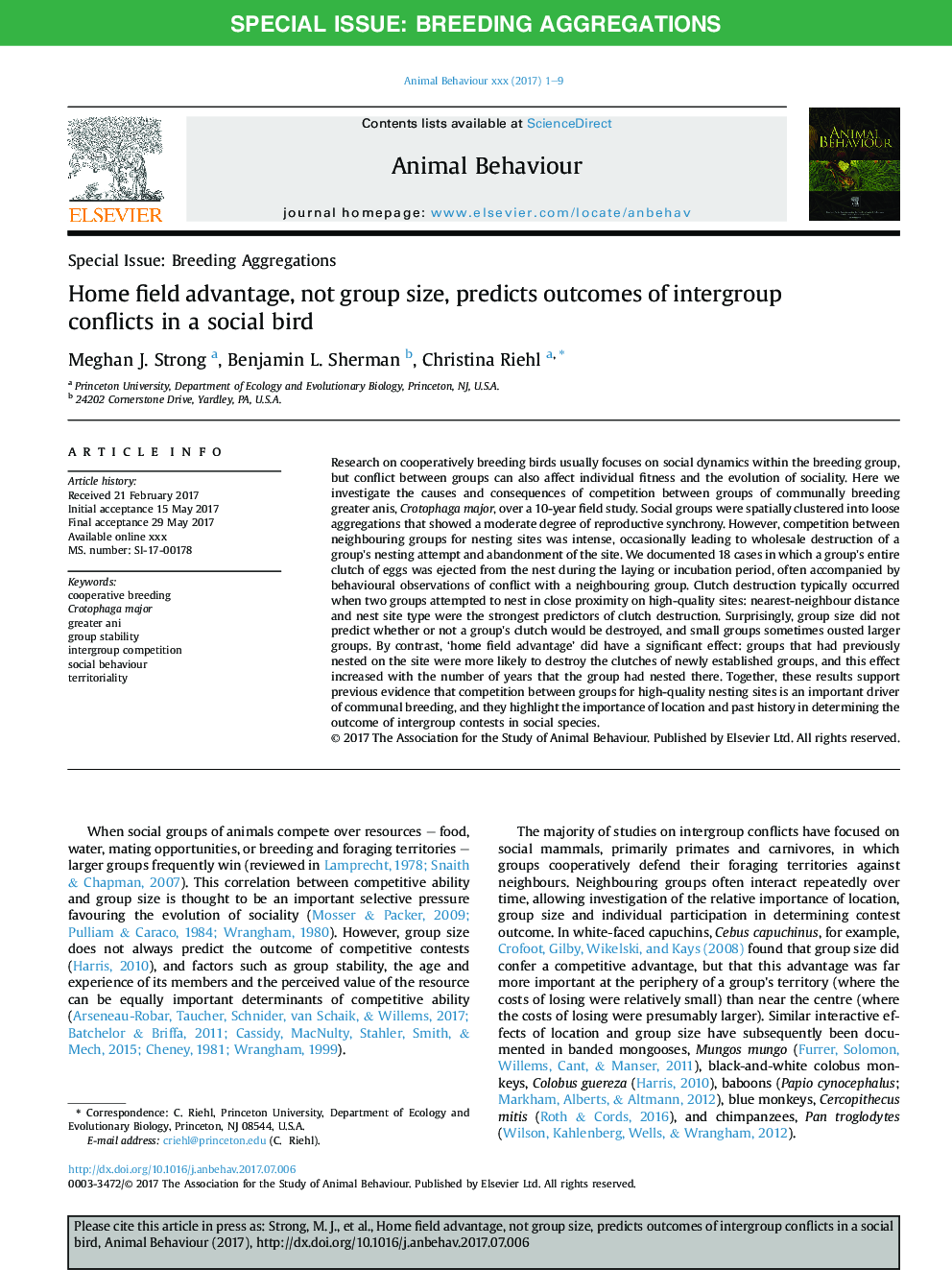 Home field advantage, not group size, predicts outcomes of intergroup conflicts in a social bird