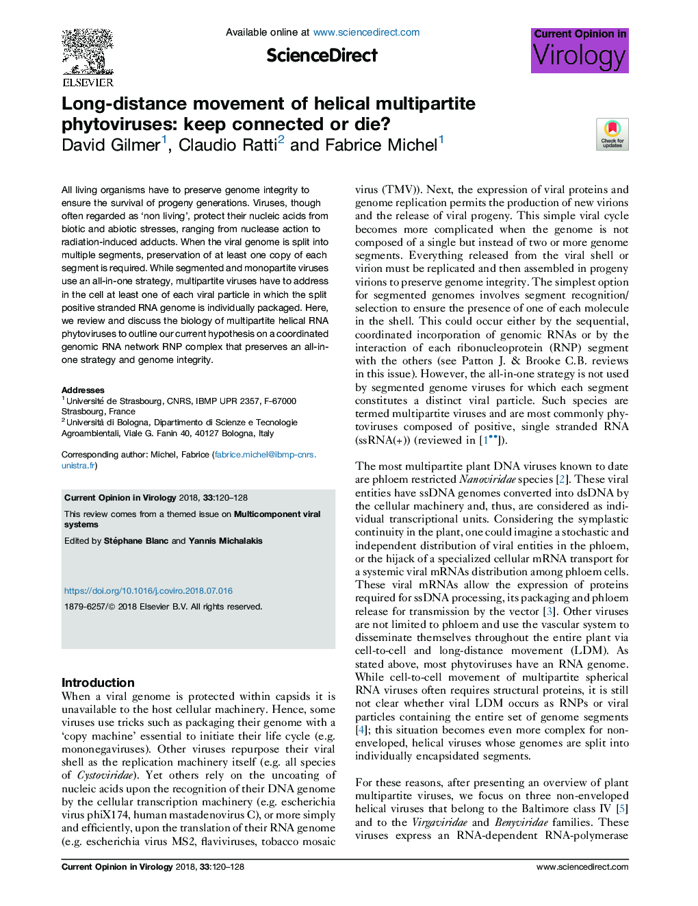 Long-distance movement of helical multipartite phytoviruses: keep connected or die?