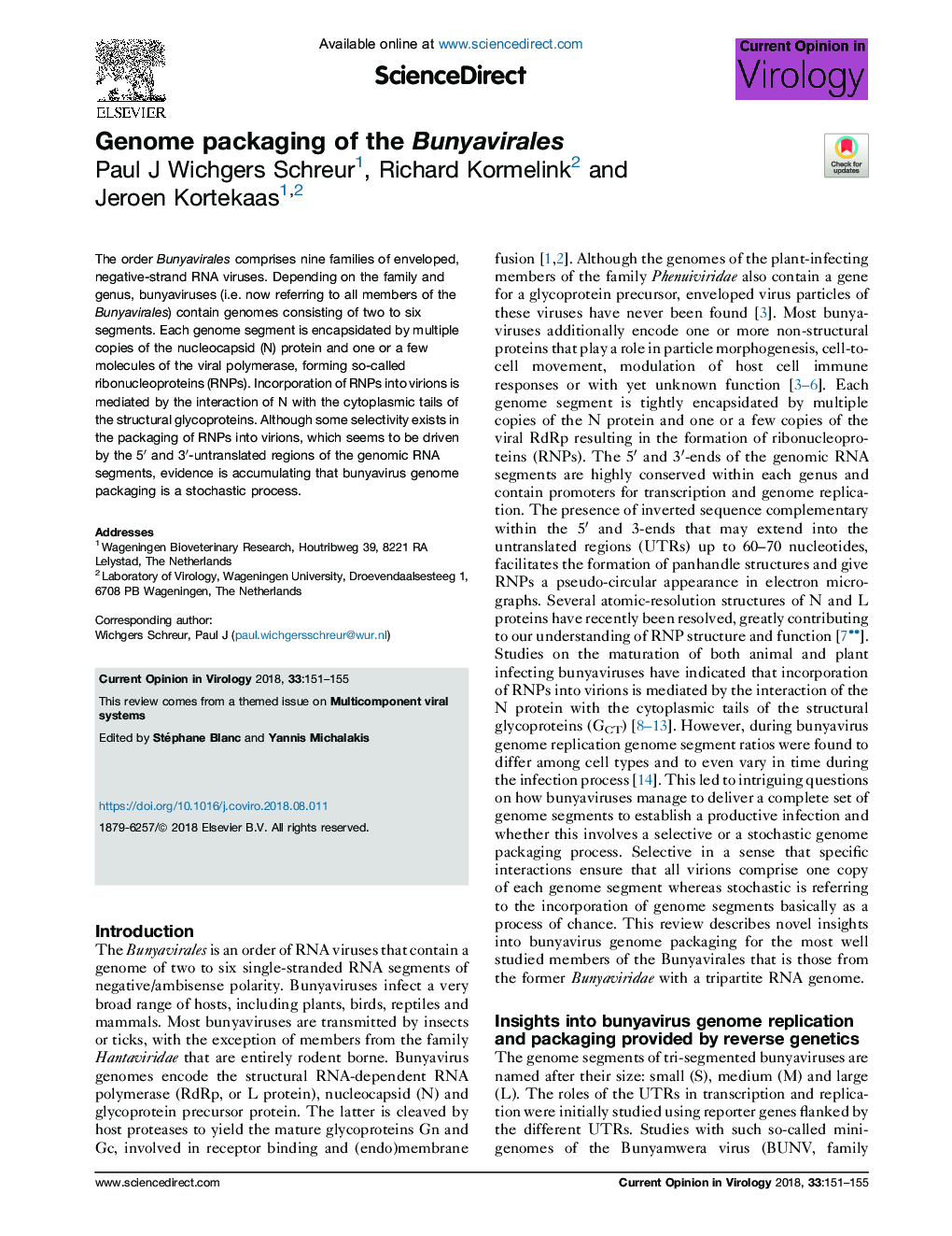 Genome packaging of the Bunyavirales