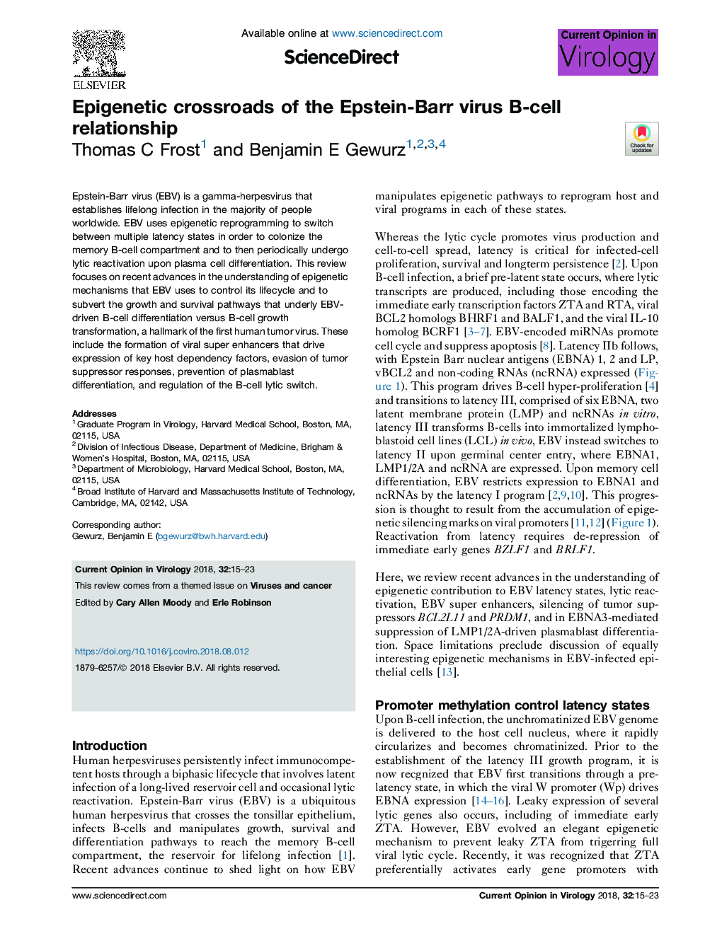 Epigenetic crossroads of the Epstein-Barr virus B-cell relationship