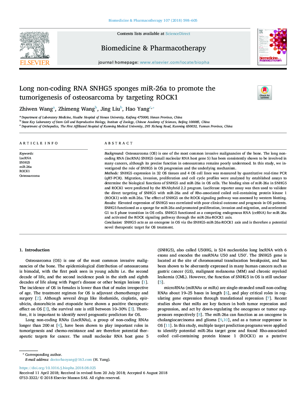 Long non-coding RNA SNHG5 sponges miR-26a to promote the tumorigenesis of osteosarcoma by targeting ROCK1