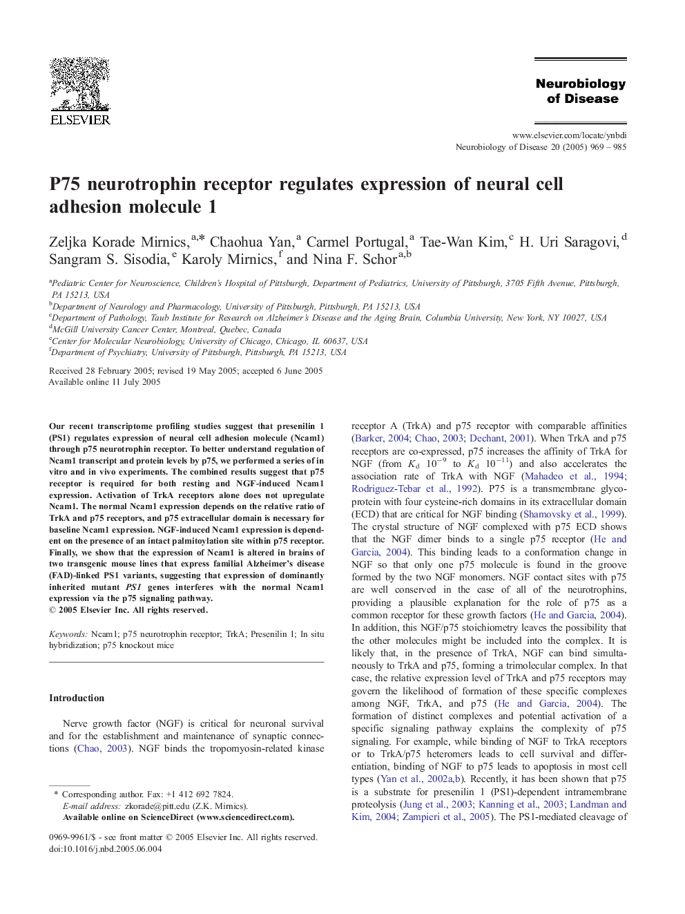 P75 neurotrophin receptor regulates expression of neural cell adhesion molecule 1