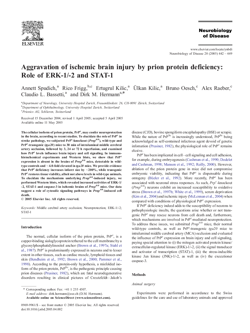 Aggravation of ischemic brain injury by prion protein deficiency: Role of ERK-1/-2 and STAT-1