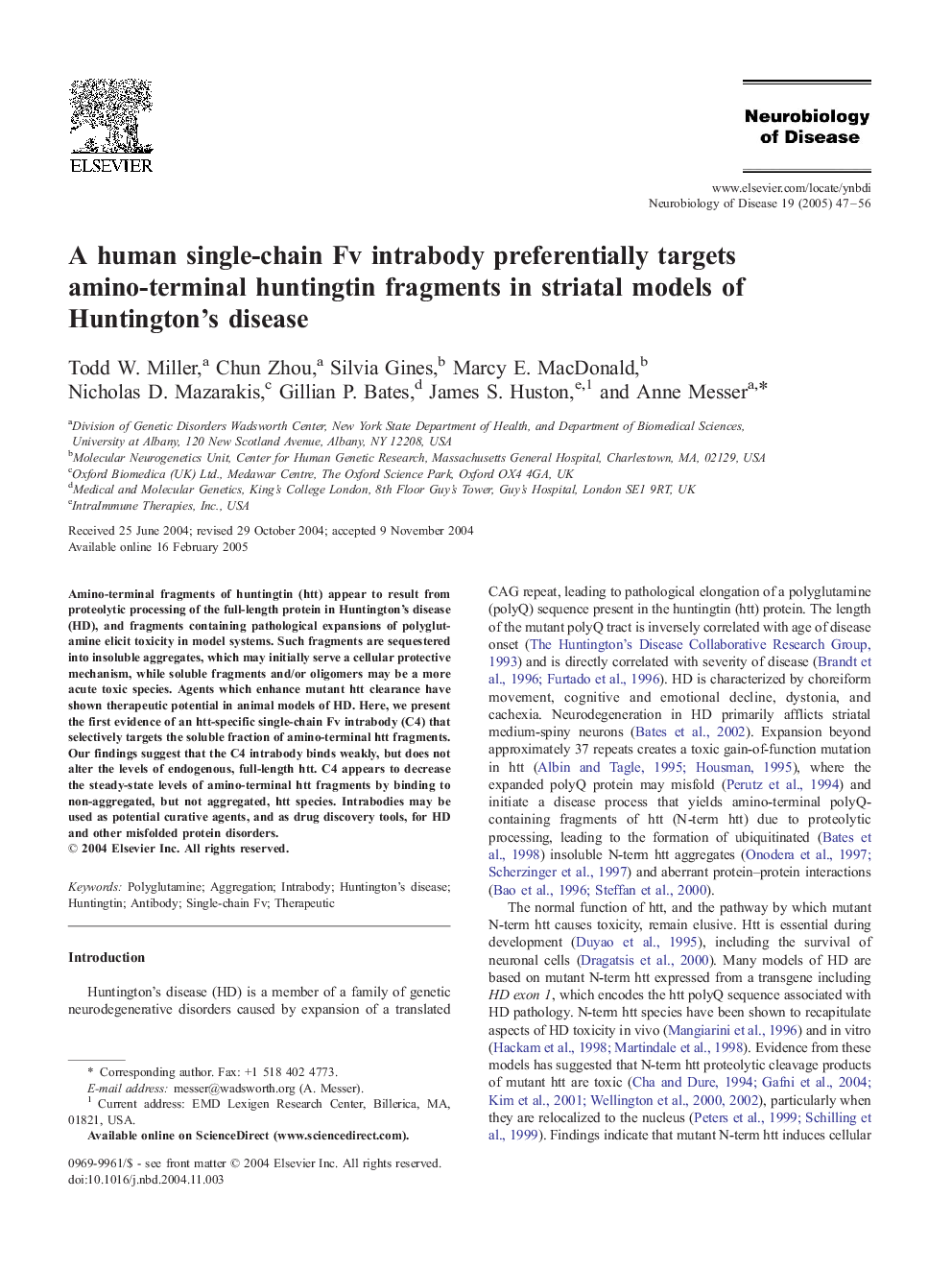 A human single-chain Fv intrabody preferentially targets amino-terminal huntingtin fragments in striatal models of Huntington's disease