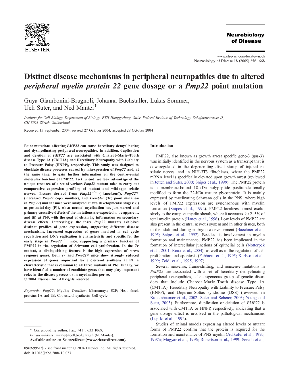 Distinct disease mechanisms in peripheral neuropathies due to altered peripheral myelin protein 22 gene dosage or a Pmp22 point mutation