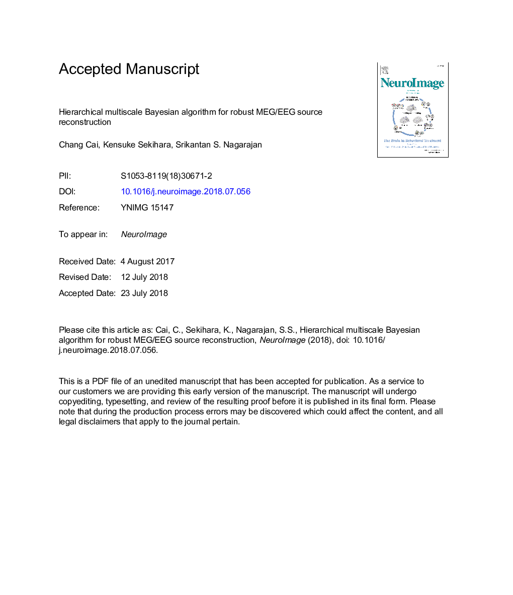 Hierarchical multiscale Bayesian algorithm for robust MEG/EEG source reconstruction